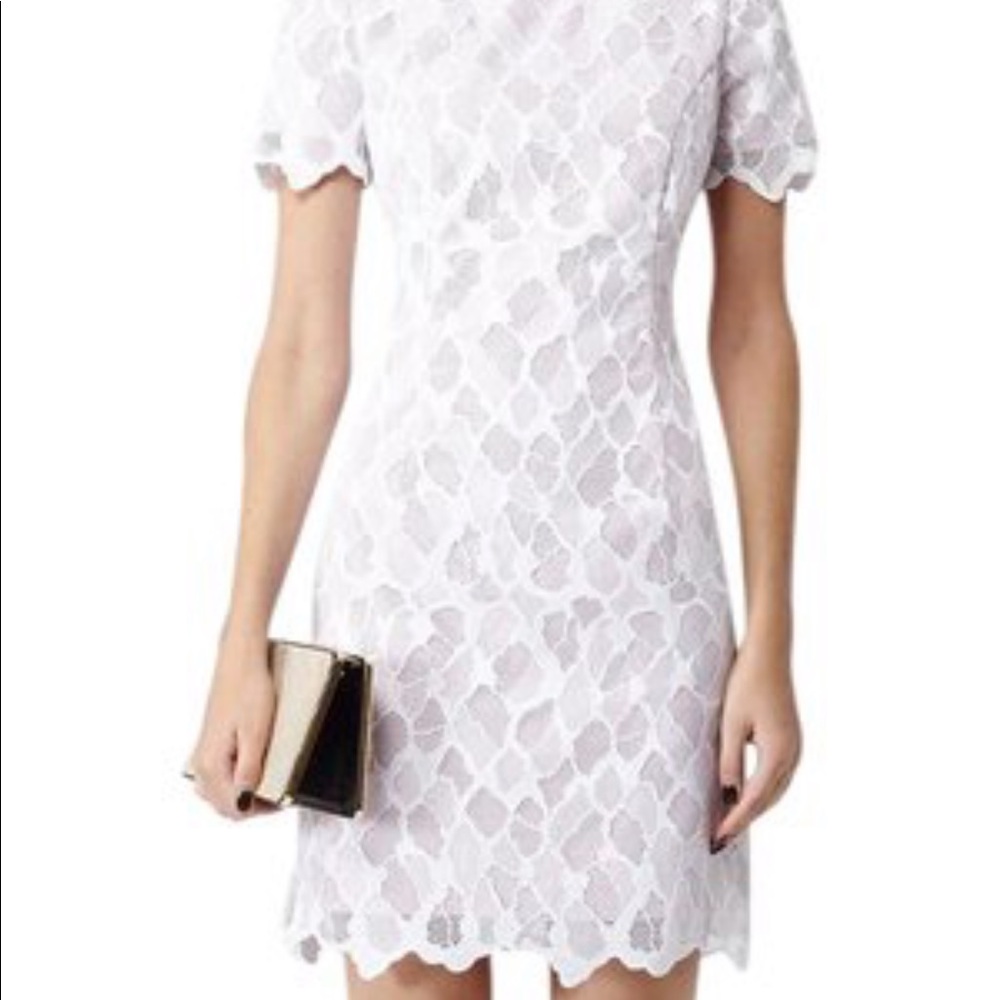 Reiss Anise fitted Lace Dress